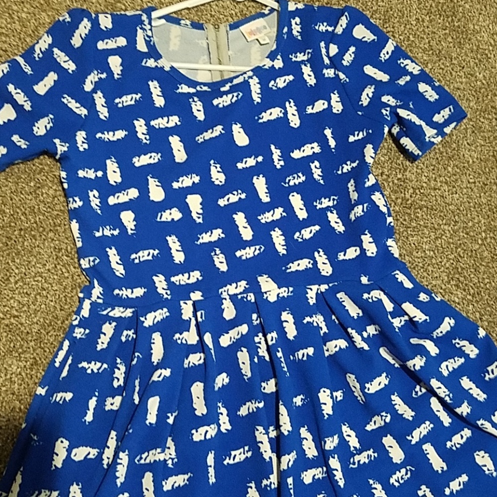 LulaRoe dress